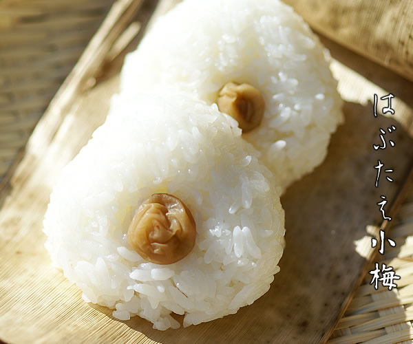 梅干し,梅,青梅,梅肉エキス,紀州南高梅干通販の専門店 はぶたえ小梅干し- 深見梅店 -